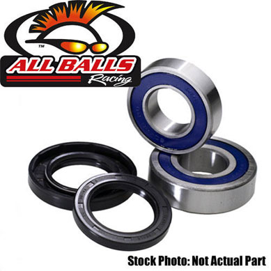 All Balls Racing Wheel Hub Bearing and Seal Kit